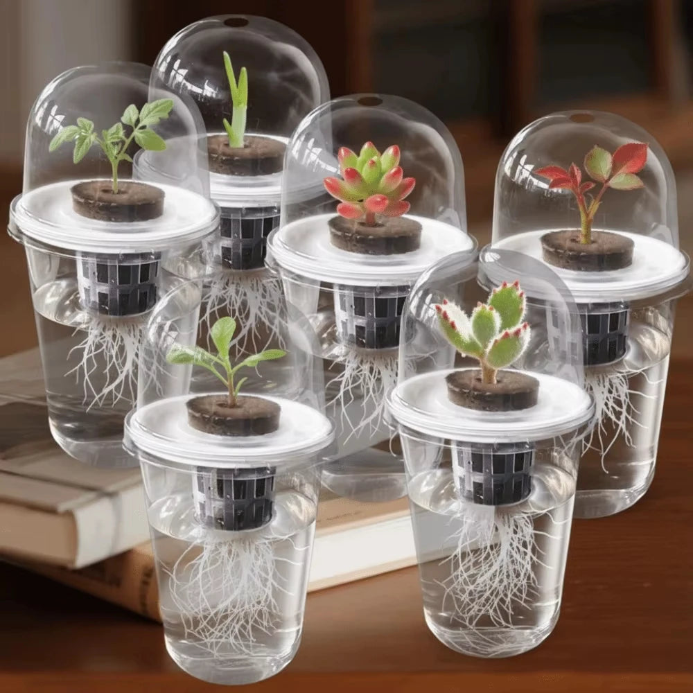 Transparent Plastic Hydroponic Seed Planting Pots - Durable and Reusable Gardening Cups for Easy Root Observation