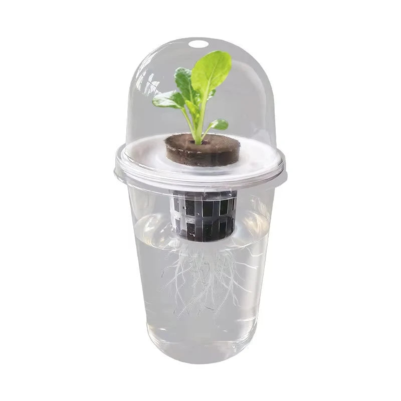 Transparent Plastic Hydroponic Seed Planting Pots - Durable and Reusable Gardening Cups for Easy Root Observation